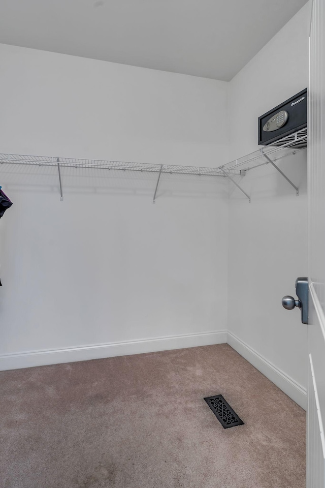 201 Abbey Rd, Lebanon, TN 37090 - walk in closet featuring carpet