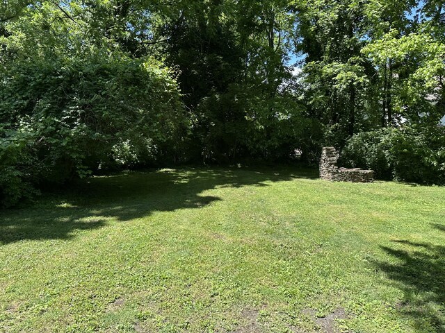 2910 Woodlawn Dr, Nashville, TN 37215 - view of grassy yard