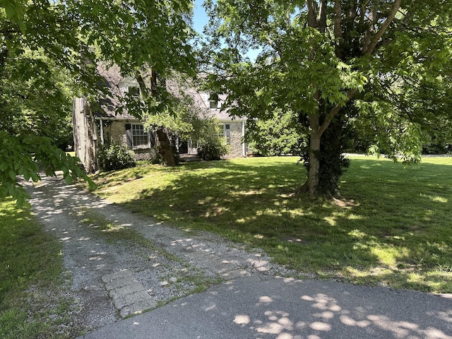 2910 Woodlawn Dr, Nashville, TN 37215 - view of grassy yard