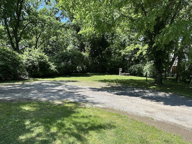2910 Woodlawn Dr, Nashville, TN 37215 - view of street