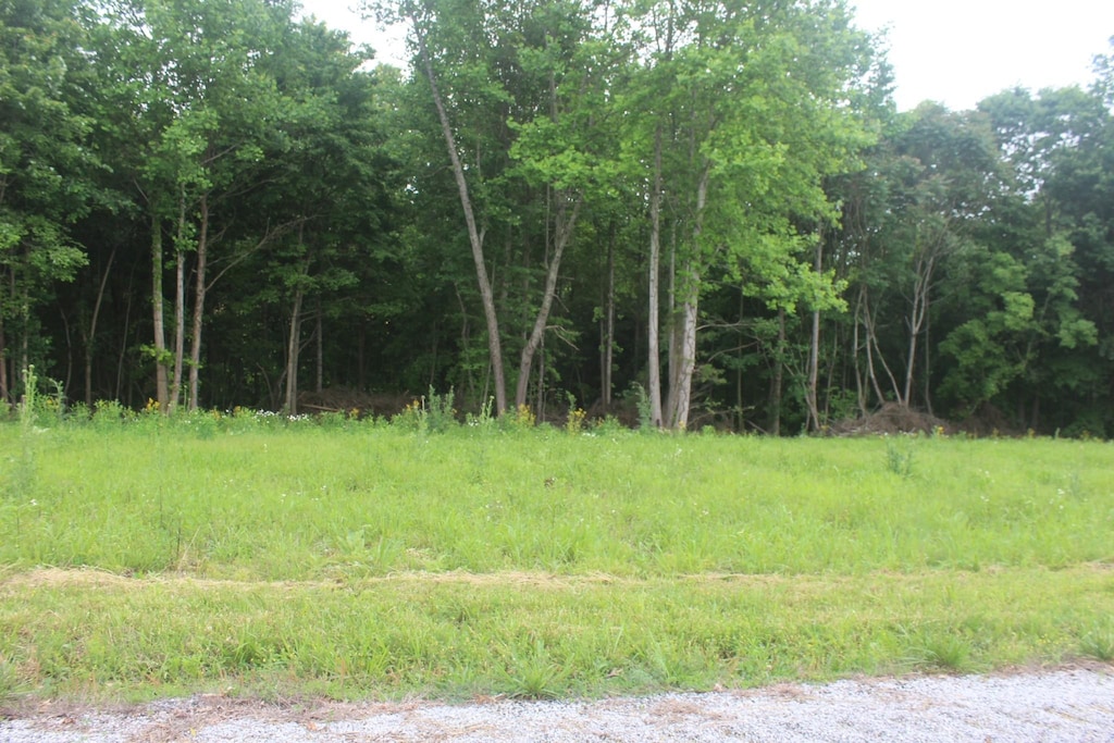 2346 Tucker Rd, Lafayette, TN 37083