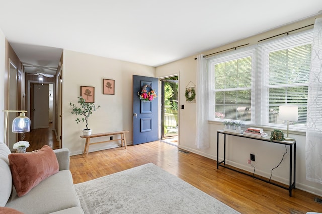 110 Rainbow Cir, Columbia, TN 38401 - entryway featuring healthy amount of natural light, wood finished floors, and baseboards