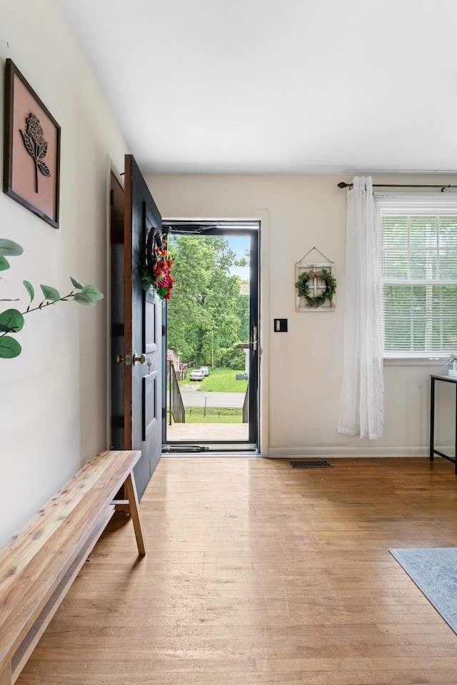 110 Rainbow Cir, Columbia, TN 38401 - entryway featuring healthy amount of natural light, wood finished floors, and baseboards