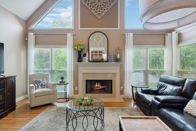 320 Julianna Cir, Franklin, TN 37064 - living room with wood finished floors, a premium fireplace, high vaulted ceiling, and baseboards