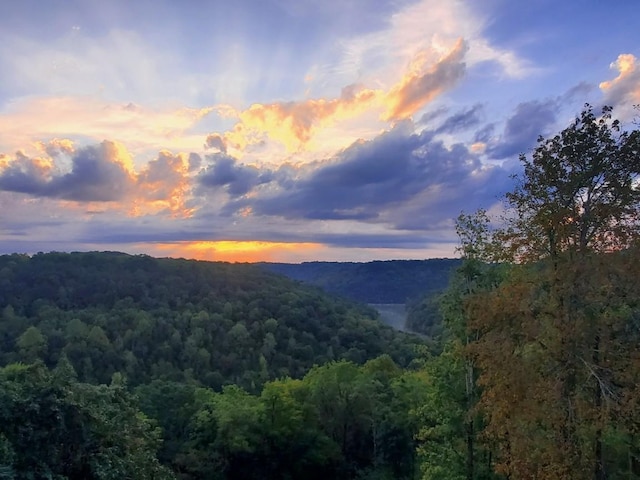 1055 Hunters Landing Ln, Smithville, TN 37166 - view of mountain background with a heavily wooded area
