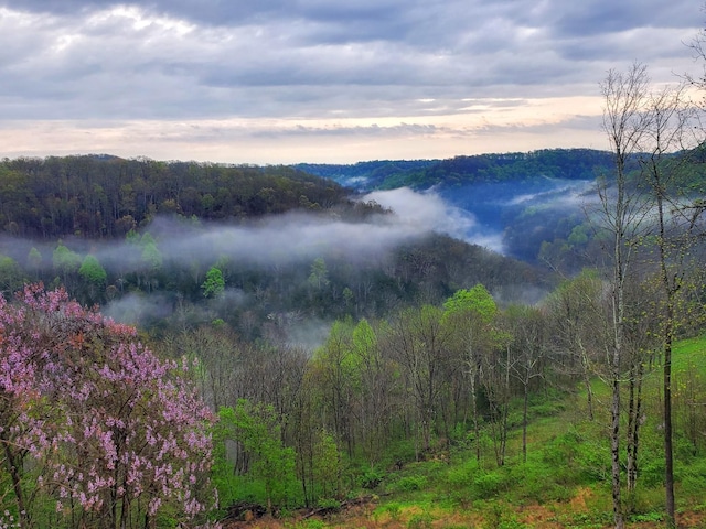 1055 Hunters Landing Ln, Smithville, TN 37166 - view of mountain background with a forest