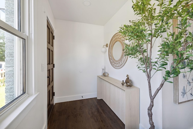 901 Elliston St, Old Hickory, TN 37138 - entryway with dark wood-style flooring and baseboards