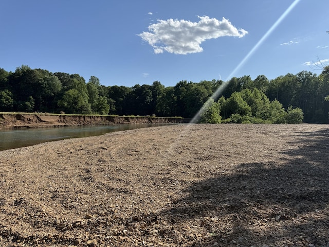3740 Dancer Branch Rd, Stewart, TN 37175 - view of yard featuring a water view and a forest view