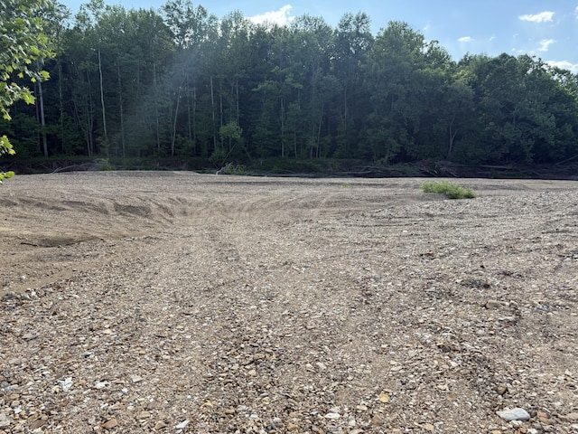 3740 Dancer Branch Rd, Stewart, TN 37175 - view of yard with a forest view