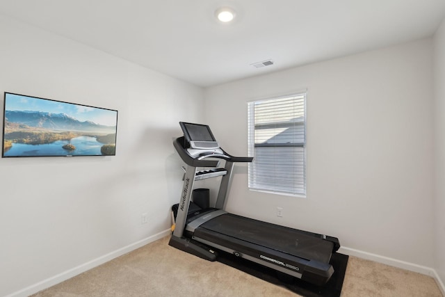 1507 Ashgrove Pl, Lebanon, TN 37087 - workout room featuring carpet and baseboards