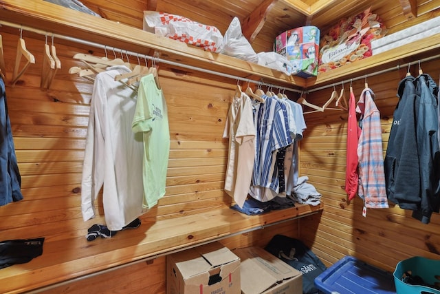 102 Nall Ave, Centerville, TN 37033 - view of spacious closet