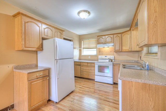 1801 Elliott Ave, Nashville, TN 37203 - photo 8