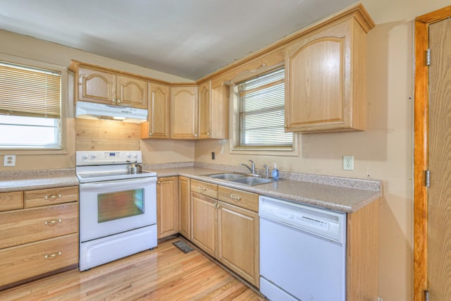 1801 Elliott Ave, Nashville, TN 37203 - photo 9