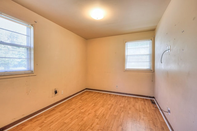 1801 Elliott Ave, Nashville, TN 37203 - photo 13