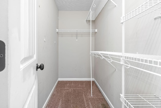 1382 Whitt Ln, Clarksville, TN 37042 - spacious closet with carpet
