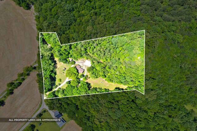 160 Terrapin Run Rd, Dover, TN 37058 - aerial view of property's location with a heavily wooded area and property boundaries highlighted