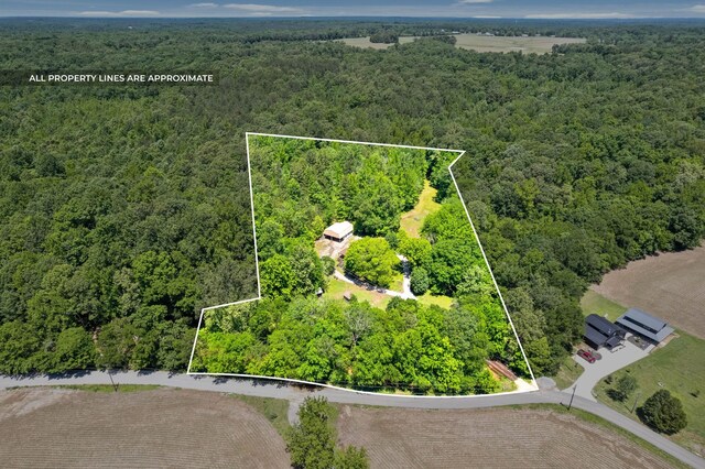 160 Terrapin Run Rd, Dover, TN 37058 - aerial view of property's location with a forest and property boundaries highlighted