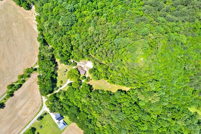 160 Terrapin Run Rd, Dover, TN 37058 - aerial view of property's location featuring a heavily wooded area and property boundaries highlighted