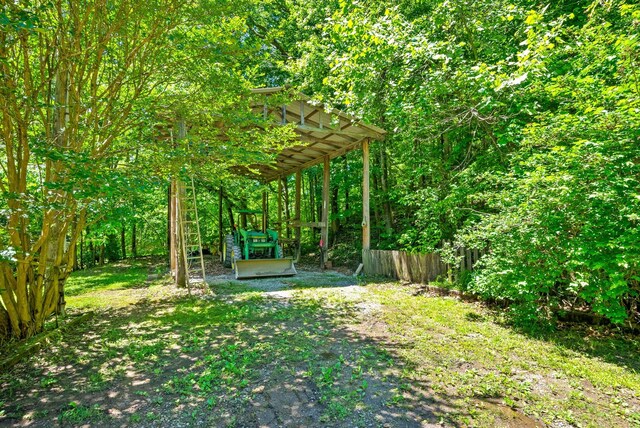 160 Terrapin Run Rd, Dover, TN 37058 - view of yard