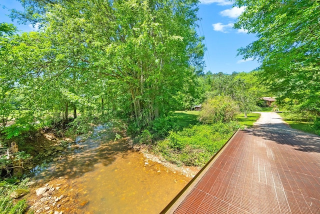 160 Terrapin Run Rd, Dover, TN 37058 - view of decorative road