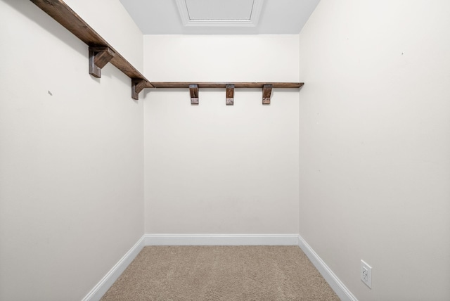 767 Dixie Ln, Pleasant View, TN 37146 - walk in closet with carpet