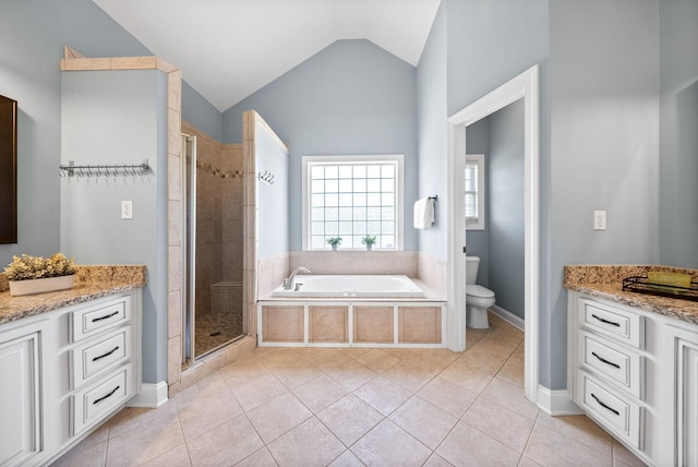 767 Dixie Ln, Pleasant View, TN 37146 - full bath with a bath, lofted ceiling, toilet, a shower stall, and vanity