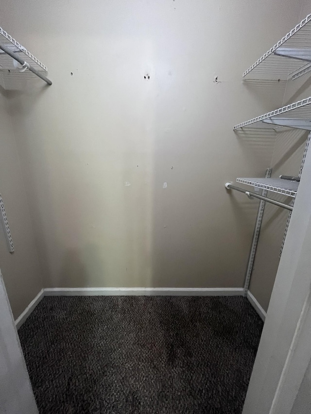 924 Granny White Rd, Clarksville, TN 37040 - walk in closet featuring carpet floors