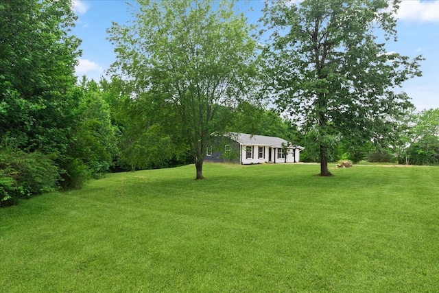 244 Beartown Rd S, Loretto, TN 38469 - view of green lawn