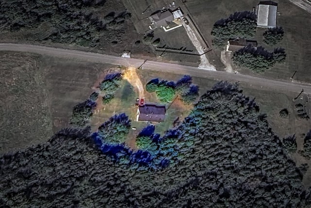 244 Beartown Rd S, Loretto, TN 38469 - drone / aerial view