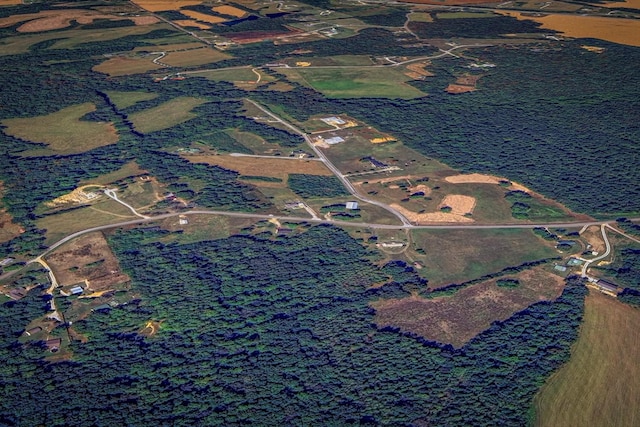 244 Beartown Rd S, Loretto, TN 38469 - aerial map of property and surrounding area