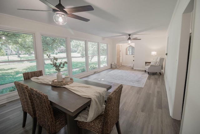 204 Tyne Blvd, Old Hickory, TN 37138 - dining room with ceiling fan, wood finished floors, and baseboards