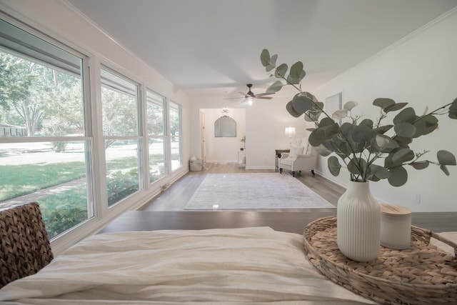 204 Tyne Blvd, Old Hickory, TN 37138 - sunroom / solarium featuring wood finished floors and baseboards