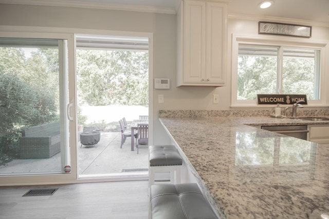 204 Tyne Blvd, Old Hickory, TN 37138 - kitchen featuring a sink, stainless steel dishwasher, crown molding, plenty of natural light, and light stone counters
