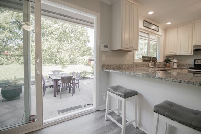 204 Tyne Blvd, Old Hickory, TN 37138 - kitchen with electric stove, wood finished floors, light stone counters, a sink, and recessed lighting
