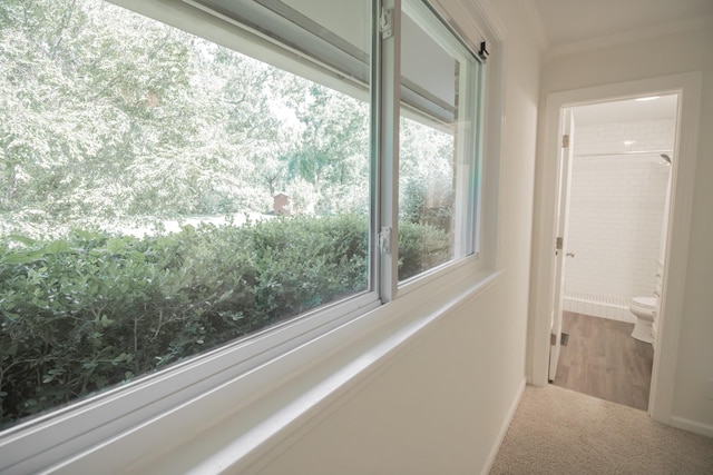 204 Tyne Blvd, Old Hickory, TN 37138 - corridor featuring carpet floors, crown molding, and baseboards