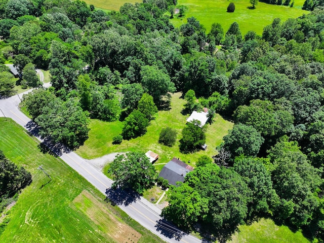 3148 Rawlings Rd, Woodlawn, TN 37191 - bird's eye view