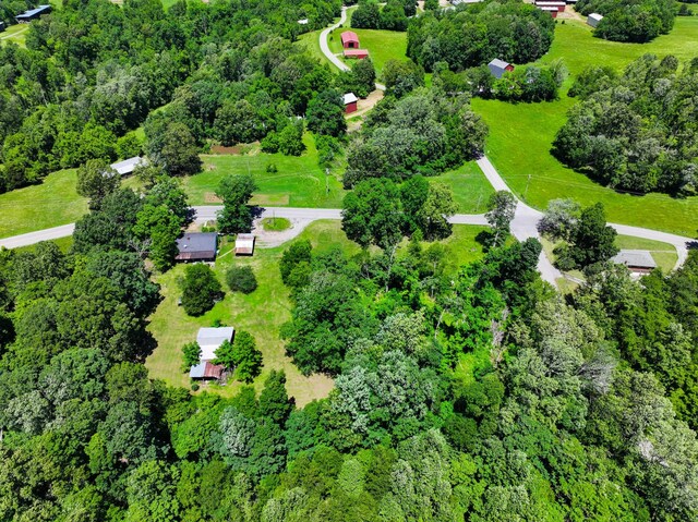 3148 Rawlings Rd, Woodlawn, TN 37191 - bird's eye view