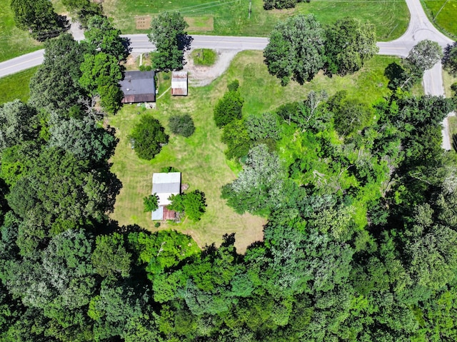 3148 Rawlings Rd, Woodlawn, TN 37191 - aerial view of property's location