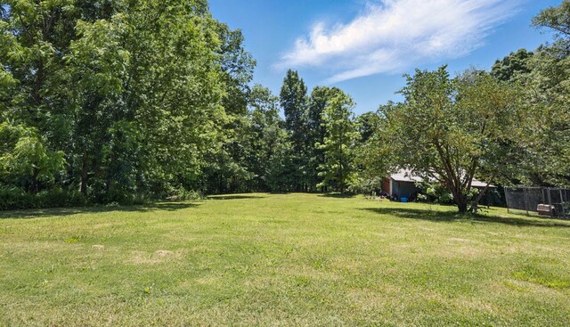 3148 Rawlings Rd, Woodlawn, TN 37191 - view of yard
