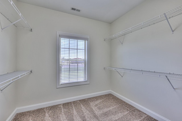 103 Olin Mcfolin Cv, Lascassas, TN 37085 - photo 46