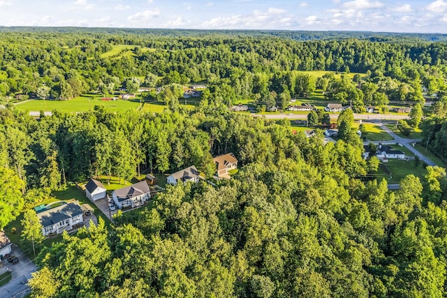 100 Station Dr, Waverly, TN 37185 - drone / aerial view of a forest