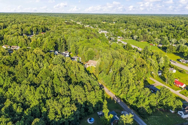 100 Station Dr, Waverly, TN 37185 - bird's eye view of a forest