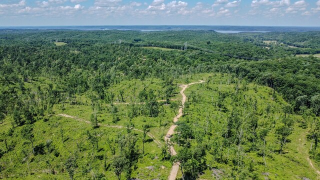 0 W Trace Creek Rd, Waverly, TN 37185