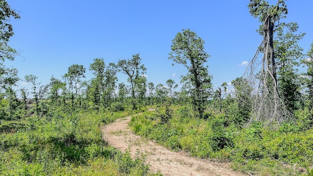 0 W Trace Creek Rd, Waverly, TN 37185