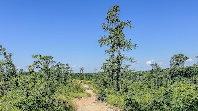 0 W Trace Creek Rd, Waverly, TN 37185