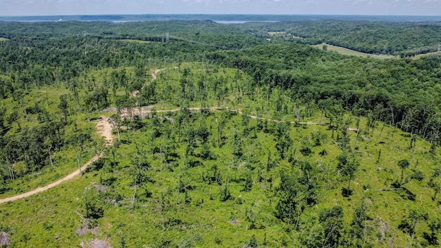 0 W Trace Creek Rd, Waverly, TN 37185