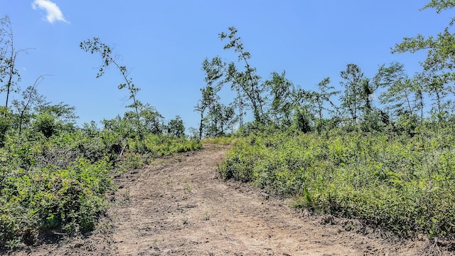 0 W Trace Creek Rd, Waverly, TN 37185