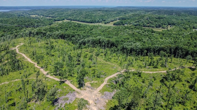0 W Trace Creek Rd, Waverly, TN 37185