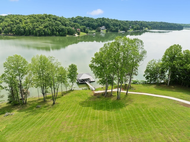 337 Lake Court Dr, Lynchburg, TN 37352 - water view with a heavily wooded area