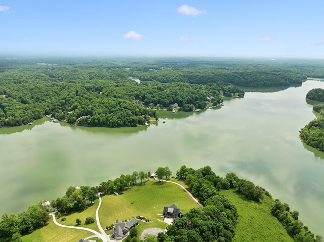 337 Lake Court Dr, Lynchburg, TN 37352 - aerial view of a large body of water and a forest